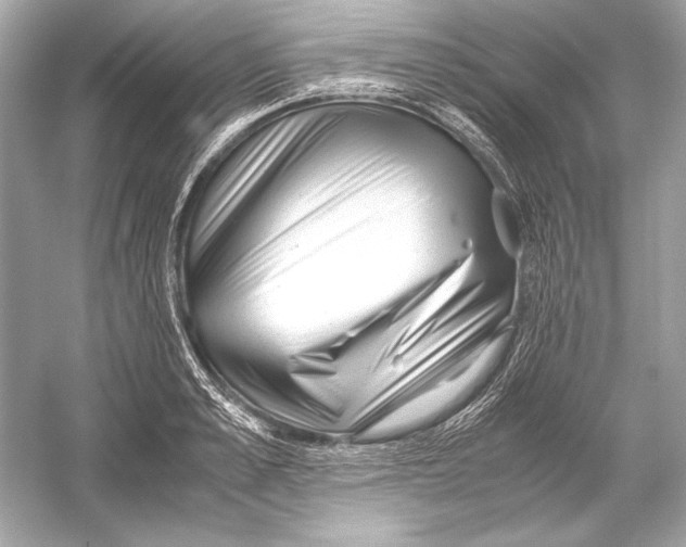 X0000051900989200507222037