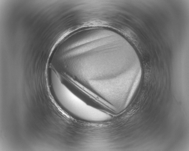X0000051900990200507222037