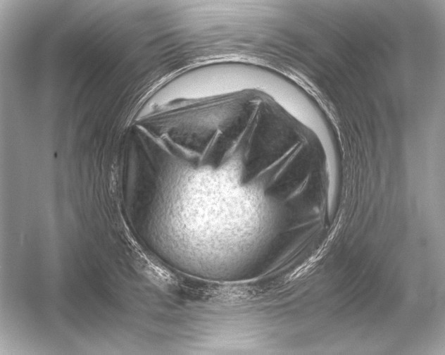 X0000051900993200507222037