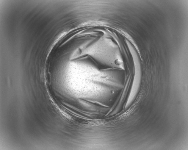 X0000051900997200507222037
