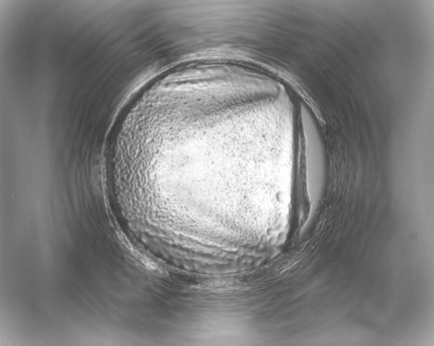 X0000051900998200507222037
