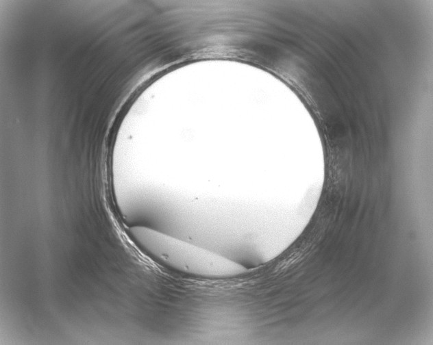 X0000051901000200507222037
