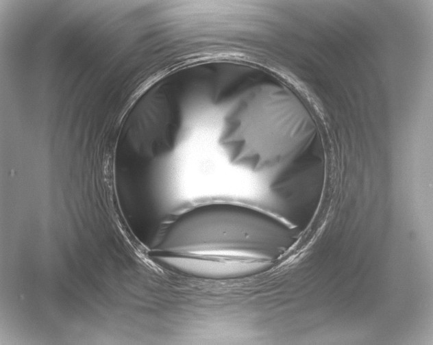 X0000051901001200507222037