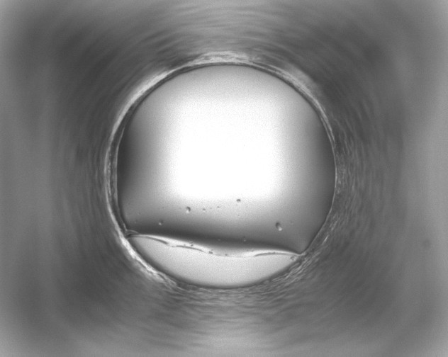 X0000051901003200507222037