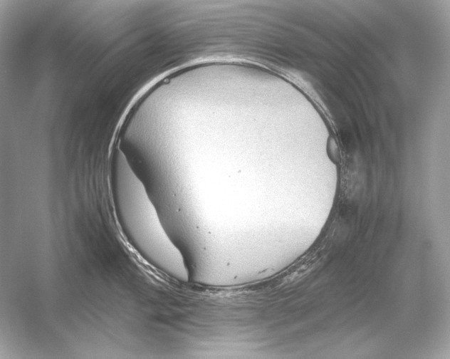 X0000051901004200507222037