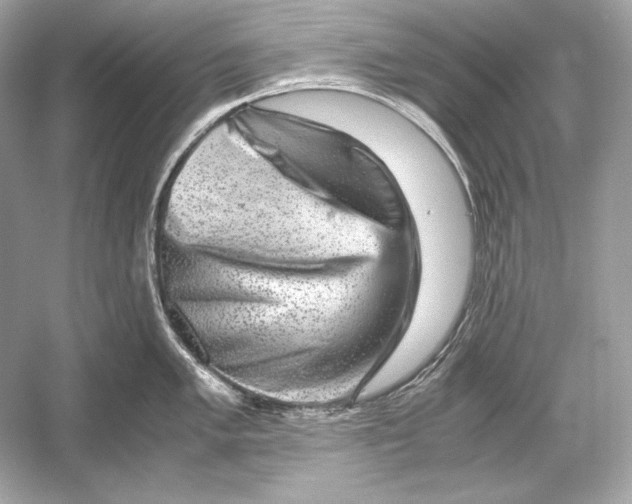 X0000051901005200507222037