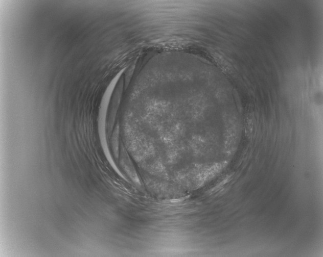 X0000051901010200507222036