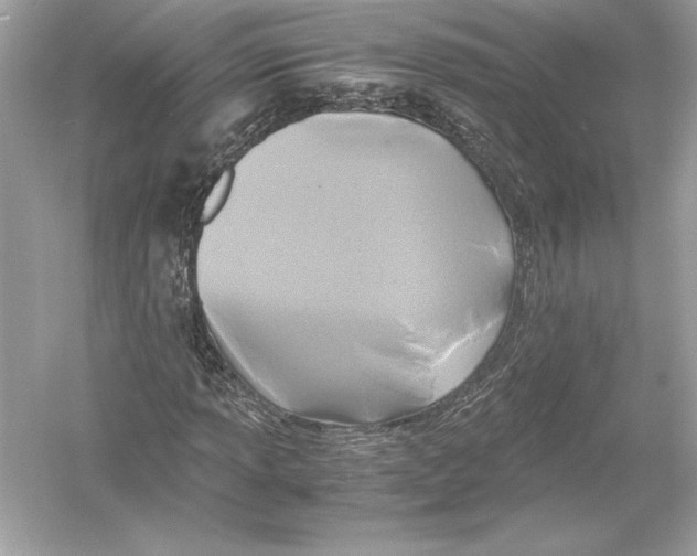X0000051901013200507222036