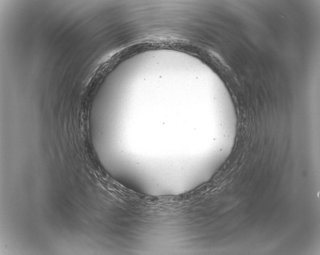 X0000051901016200507222036