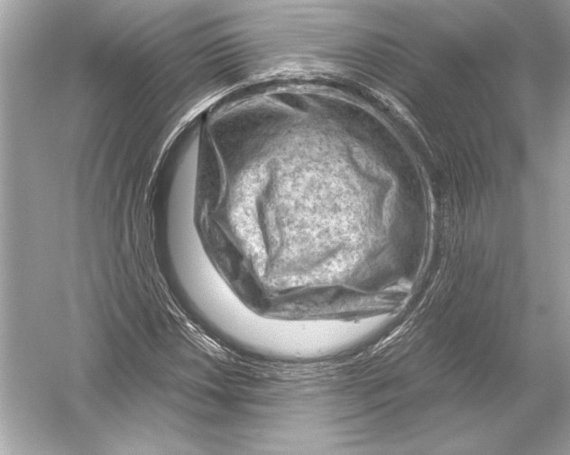 X0000051901018200507222036