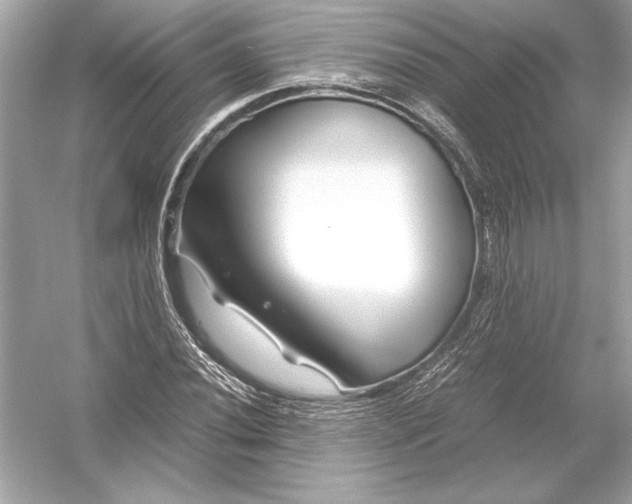 X0000051901020200507222036
