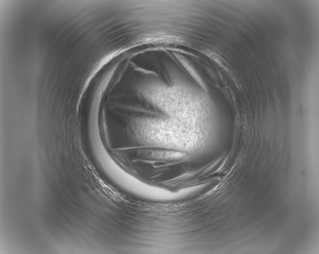 X0000051901022200507222036