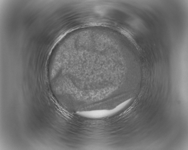 X0000051901023200507222036