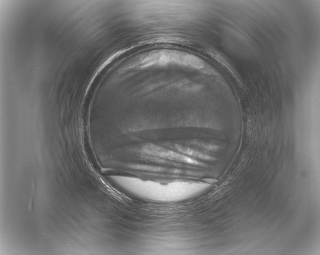 X0000051901024200507222036