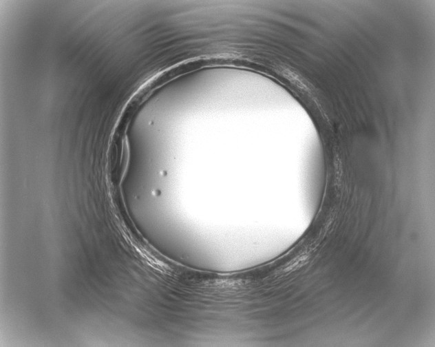 X0000051901029200507222036