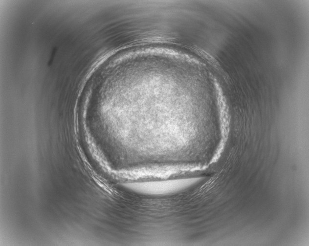 X0000051901031200507222036