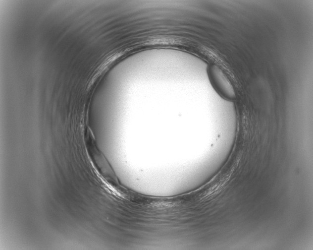 X0000051901033200507222036