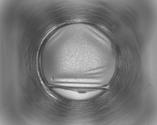 X0000051901039200507222037