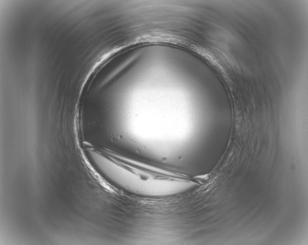 X0000051901040200507222037