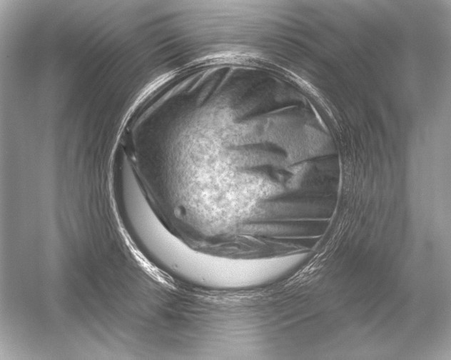 X0000051901042200507222037