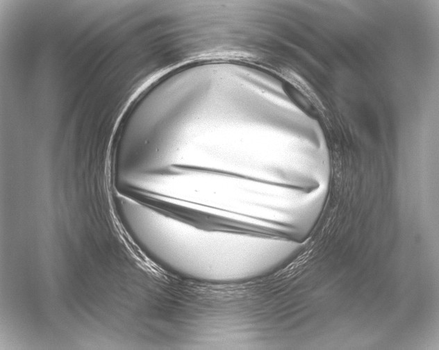 X0000051901044200507222037