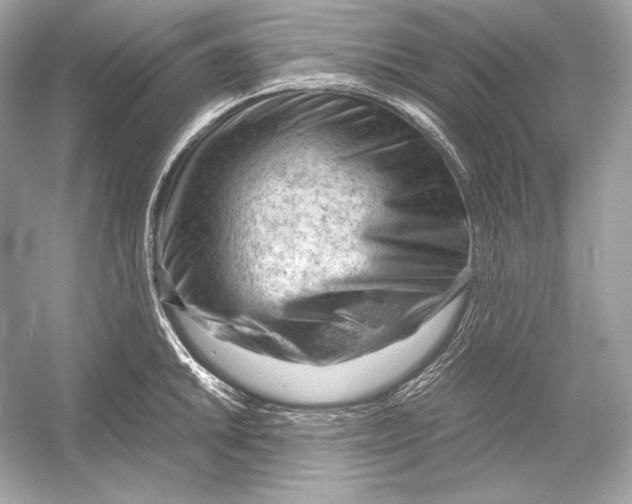 X0000051901046200507222037