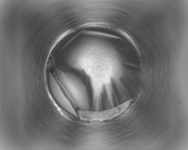 X0000051901050200507222037