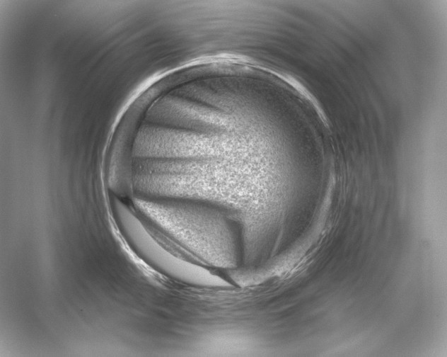 X0000051901054200507222037