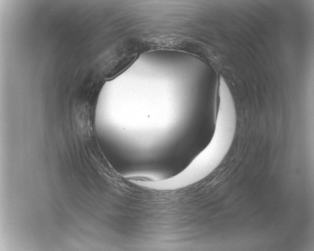 X0000051901058200507222036