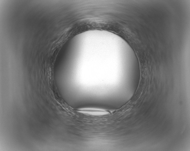 X0000051901061200507222036