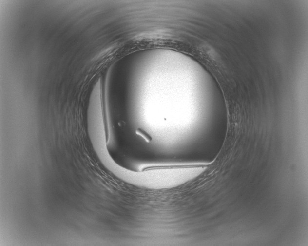 X0000051901062200507222036