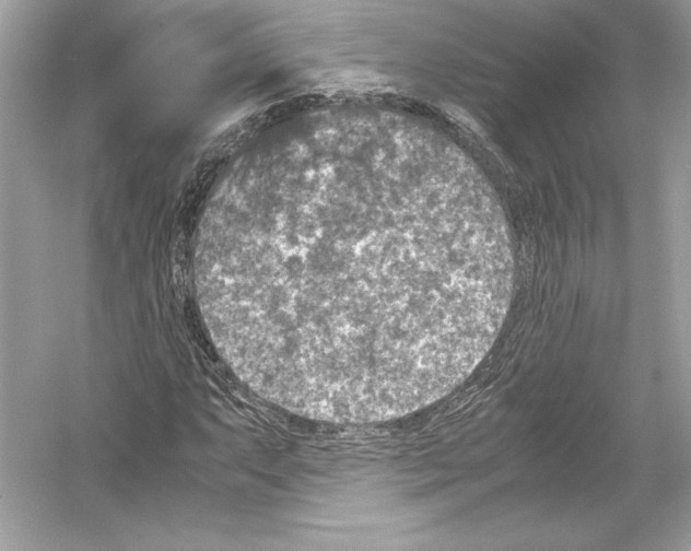 X0000051901063200507222036