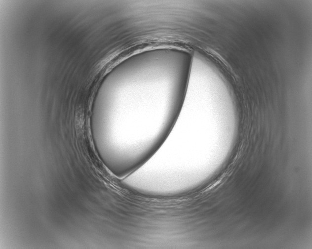 X0000051901065200507222036