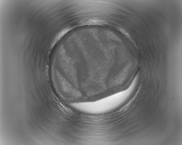 X0000051901066200507222036