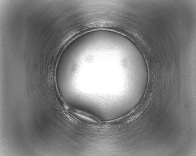 X0000051901073200507222036