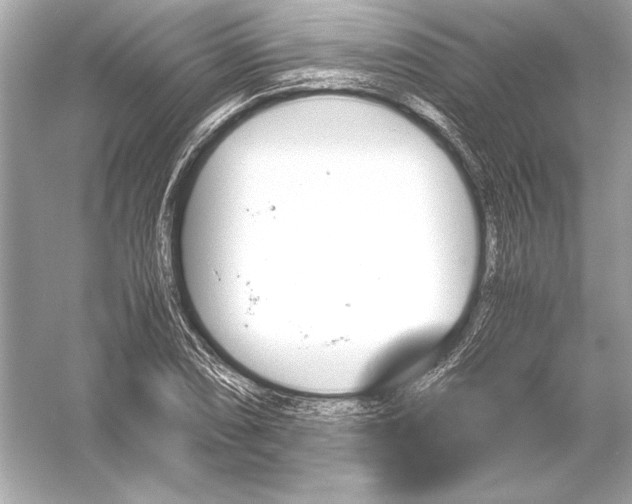 X0000051901074200507222036