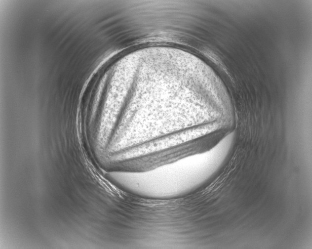 X0000051901076200507222036