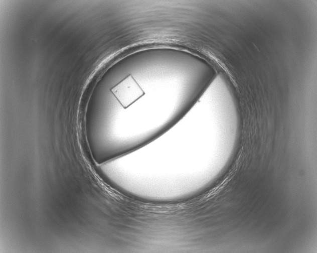 X0000051901077200507222036