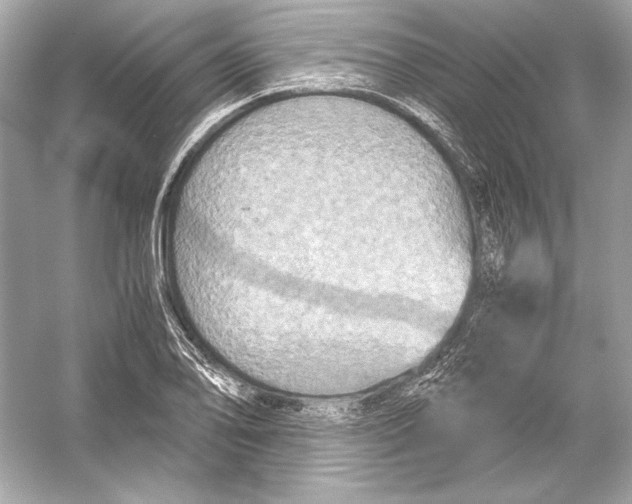 X0000051901078200507222036