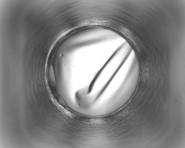 X0000051901080200507222036