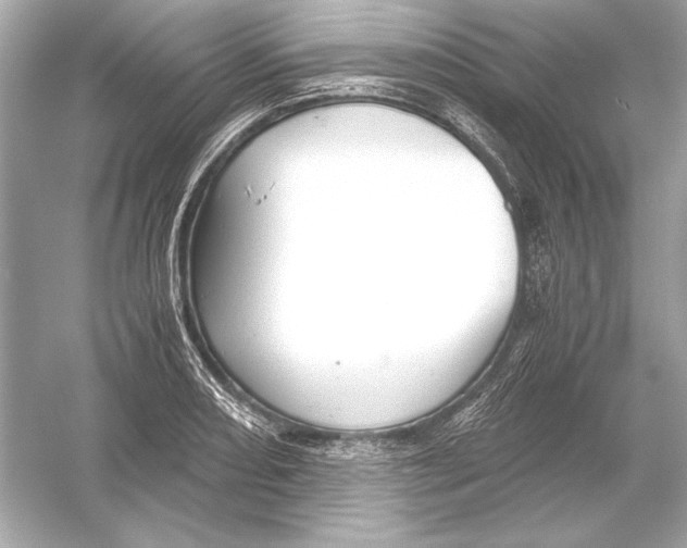 X0000051901082200507222036