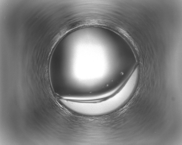 X0000051901089200507222036