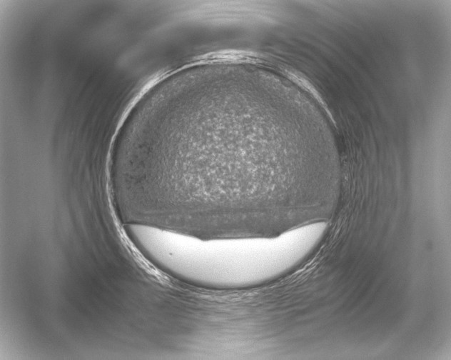 X0000051901091200507222035