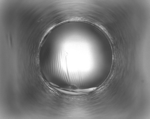 X0000051901097200507222035