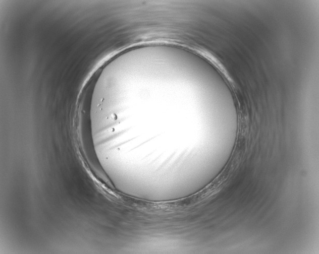 X0000051901101200507222035