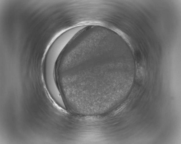 X0000051901102200507222035