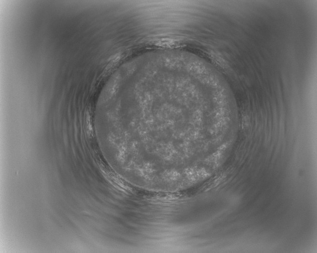 X0000051901106200507222034