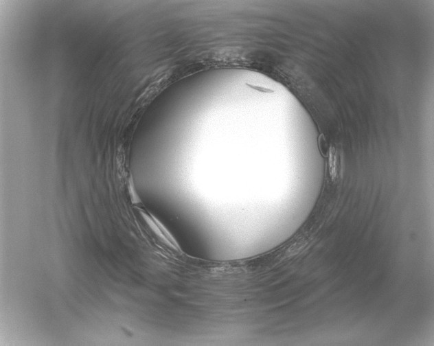 X0000051901107200507222034