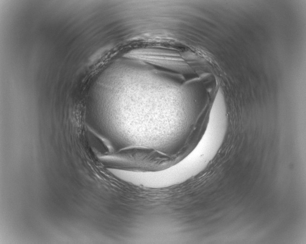 X0000051901110200507222035