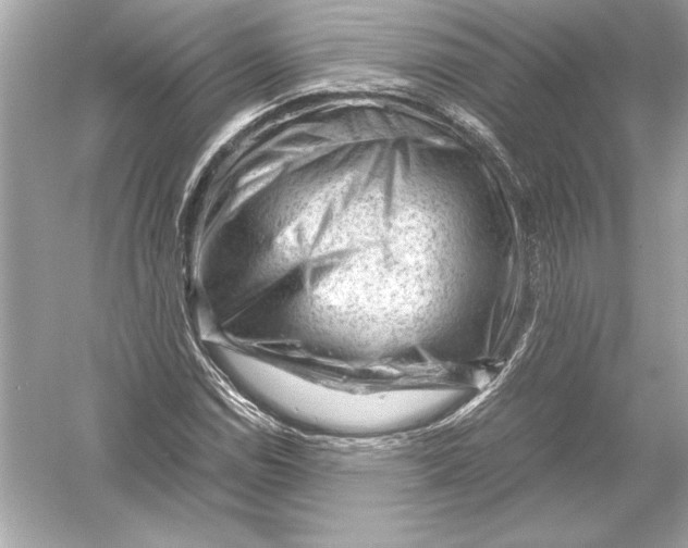 X0000051901114200507222035